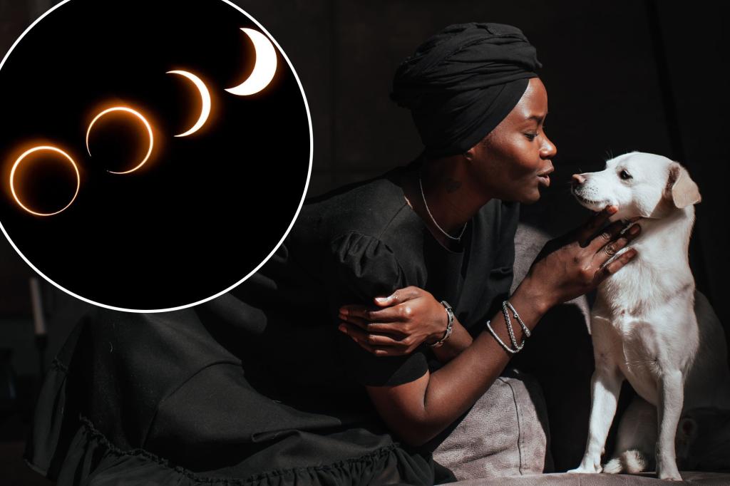 This week’s solar eclipse could make your pet anxious – how to help them through this stressful time
